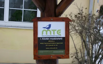 I. Köztéri madáretető állítás Mályi.